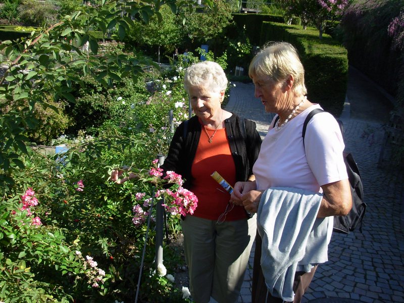 n_37 Fachgespraech.jpg